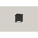 Arena 100 LED 4.33 inch Black Outdoor Ceiling Mount